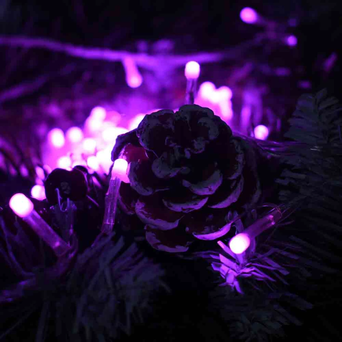 Luz LED Morada de 25 metros Navideña Cable Transparente 300 Bombillos